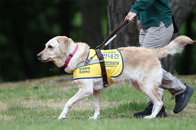 Guide Dog School for the Visually Challenged images 2