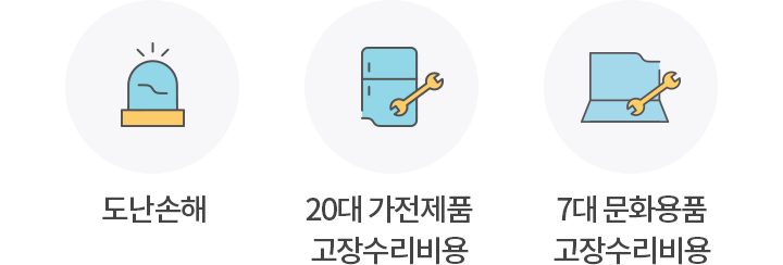 도난손해,  20대 가전제품 고장수리비용,  7대 문화용품 고장수리비용