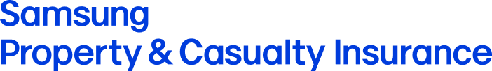 해외법인 CI - Samsung Property & Casualty Insurance