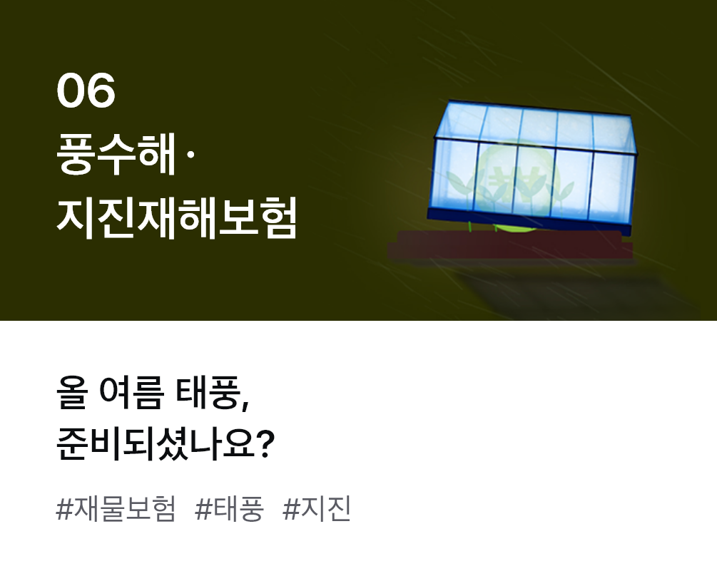 
                  06. 풍수해 지진재해보험 올 여름 태풍, 준비되셨나요? #재물보험 #태풍 #지진